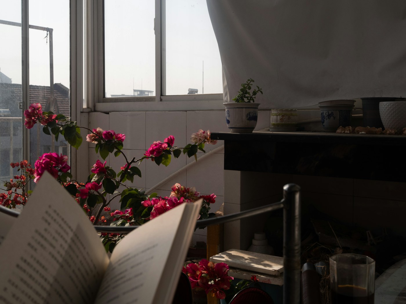 Livro e flores junto à janela — fotografia ilustrativa
